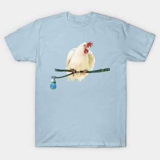 Chicken are birds T-Shirt